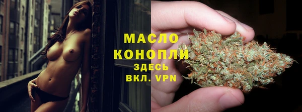 шишки Магас