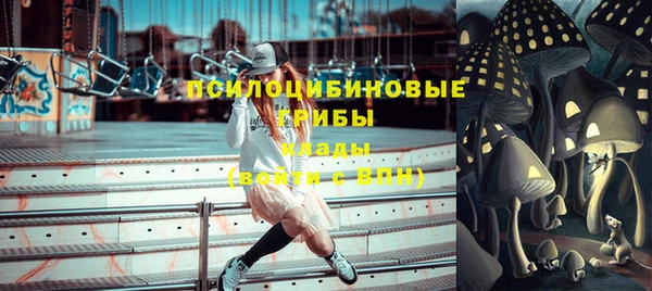 не бодяженный Алексин
