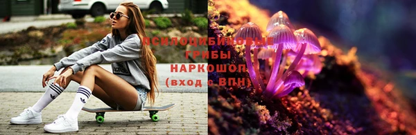 шишки Магас